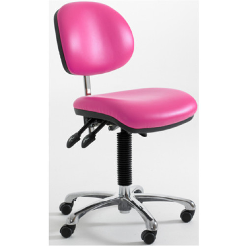 Beauty Salon Chair