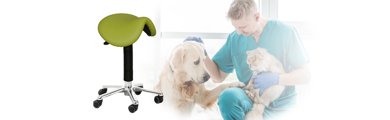 Veterinary Seating