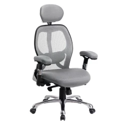 Mesh Office Chair